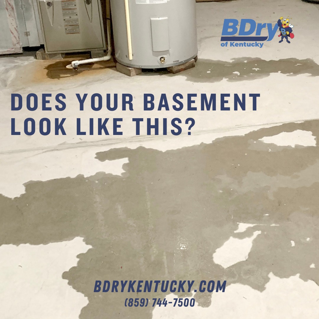basement waterproofing services winchester