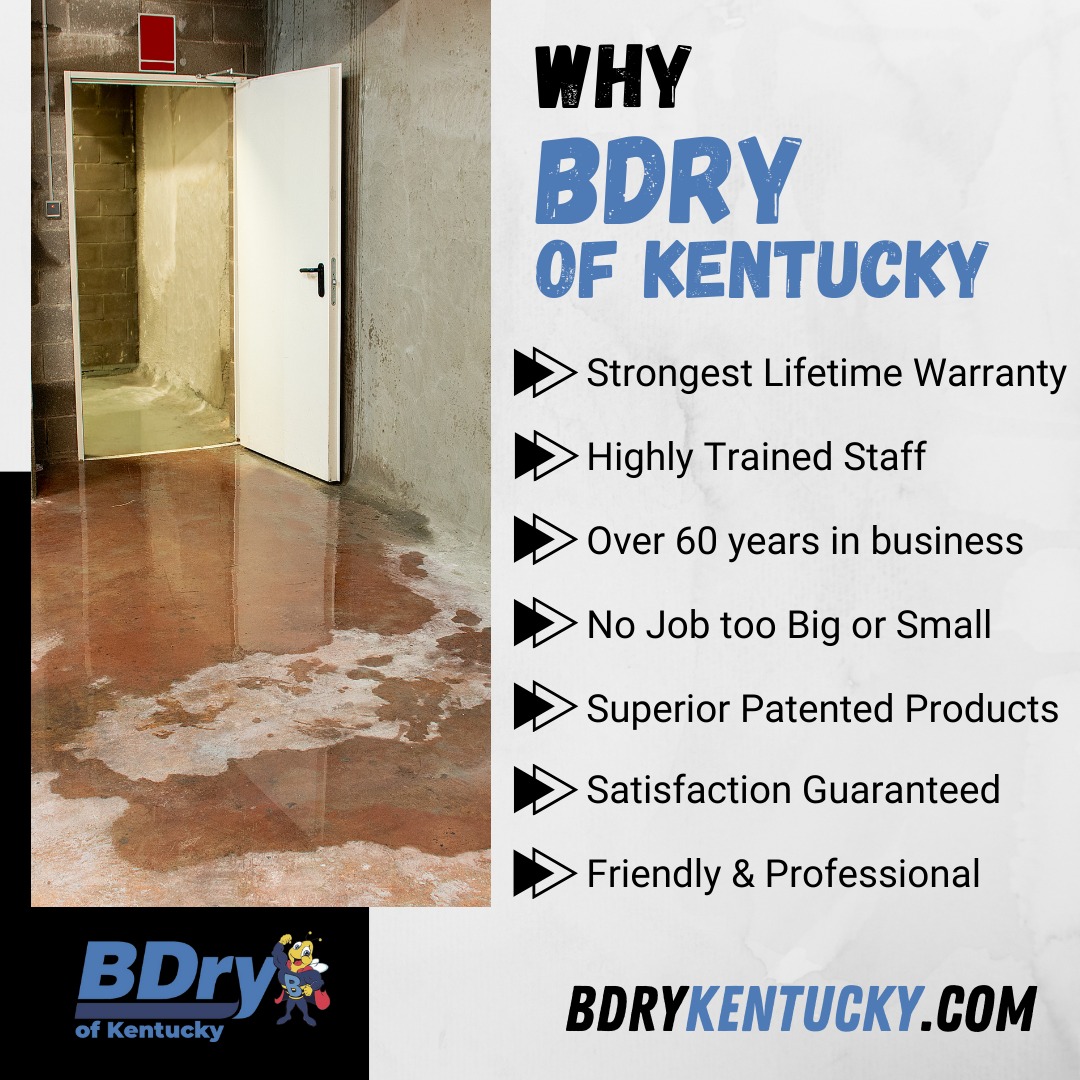 basement waterproofing services winchester