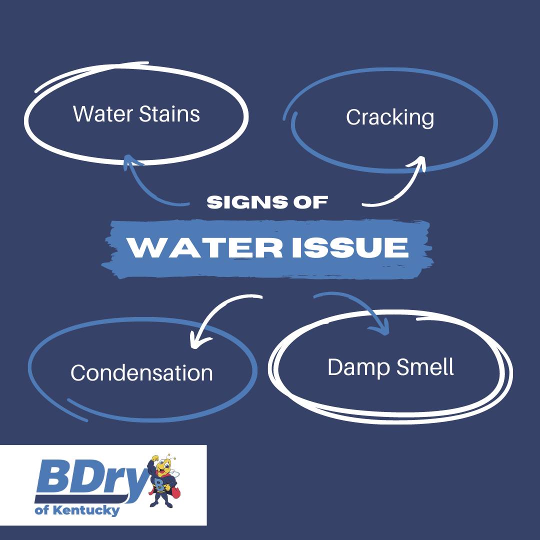 waterproofing company in Kentucky