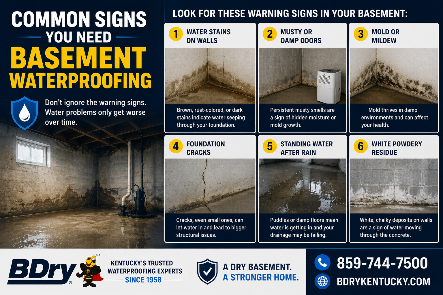basement waterproofing lexington