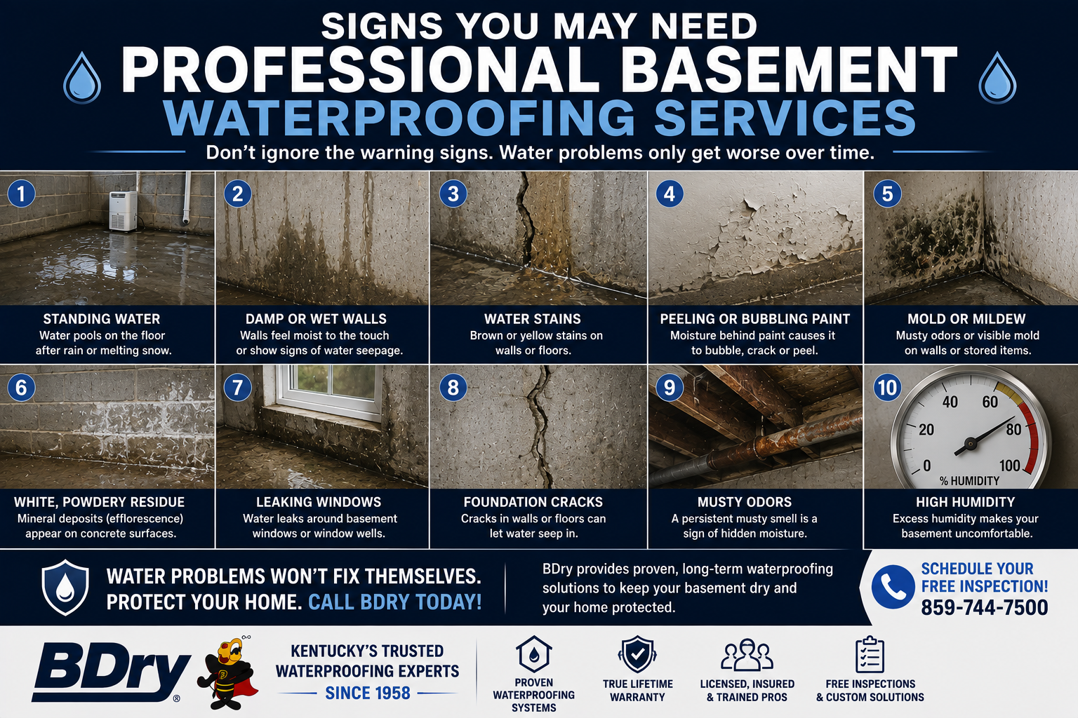 professional basement waterproofing services