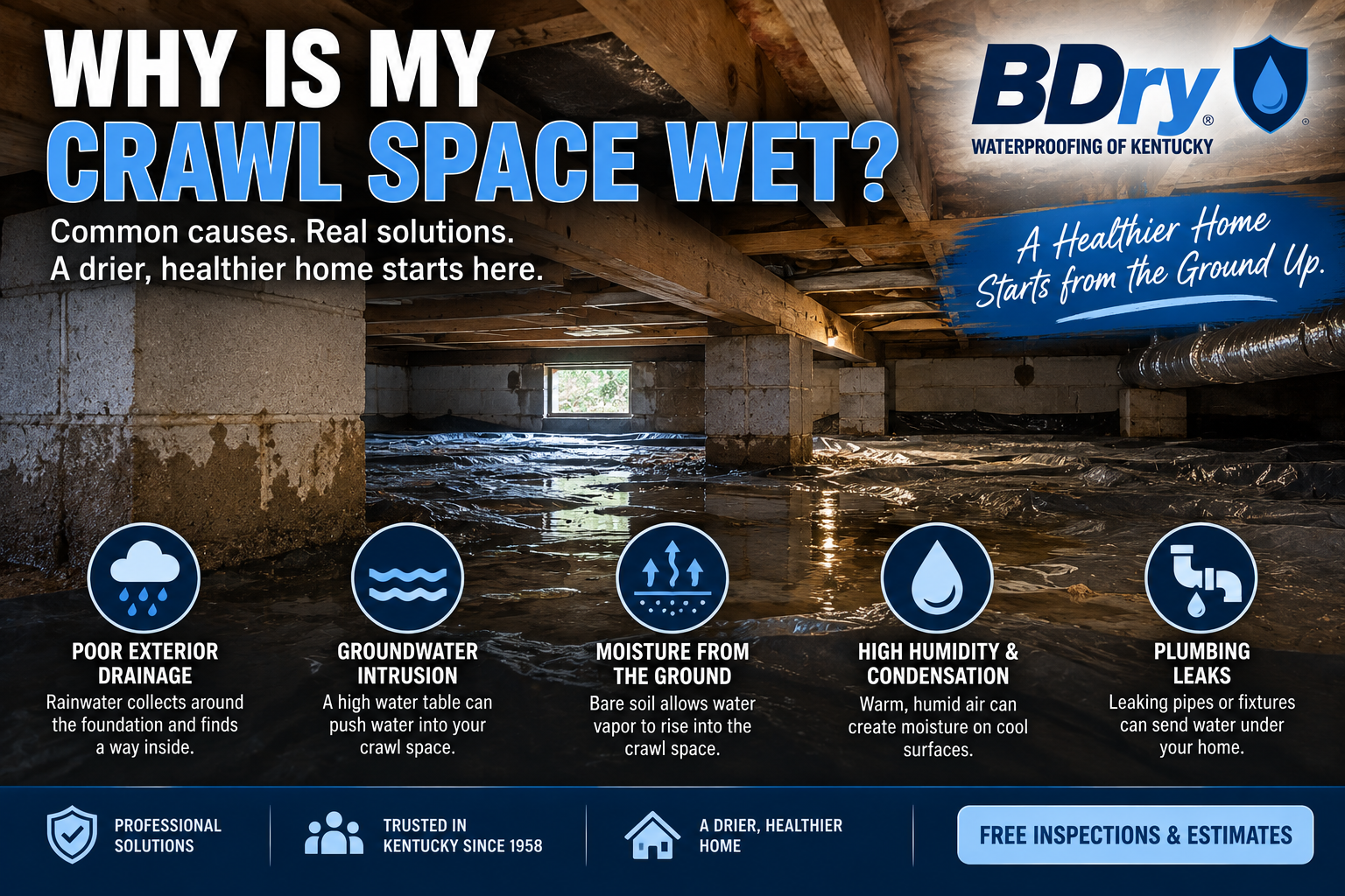 why is my crawl space wet
