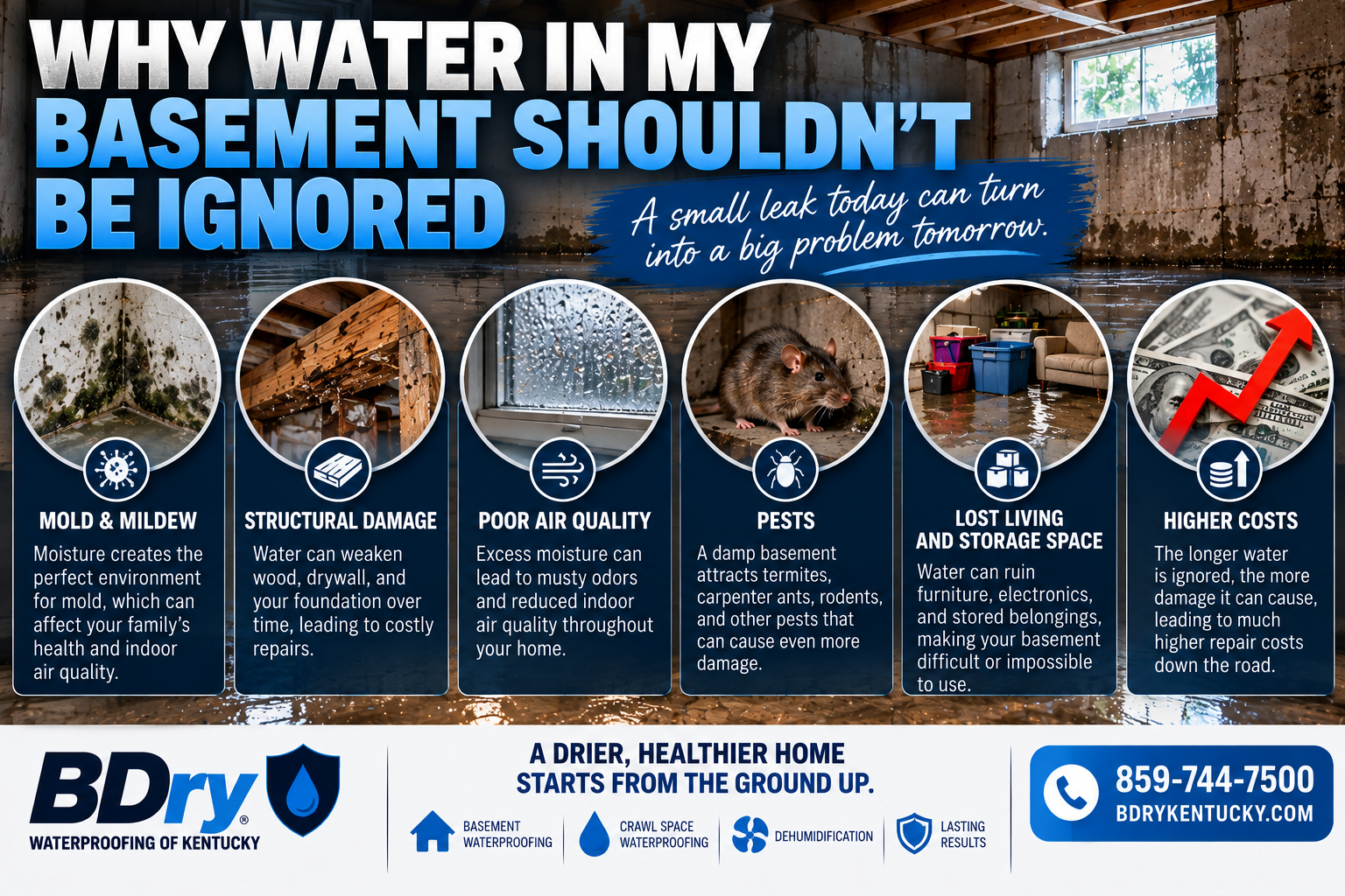 water in my basement